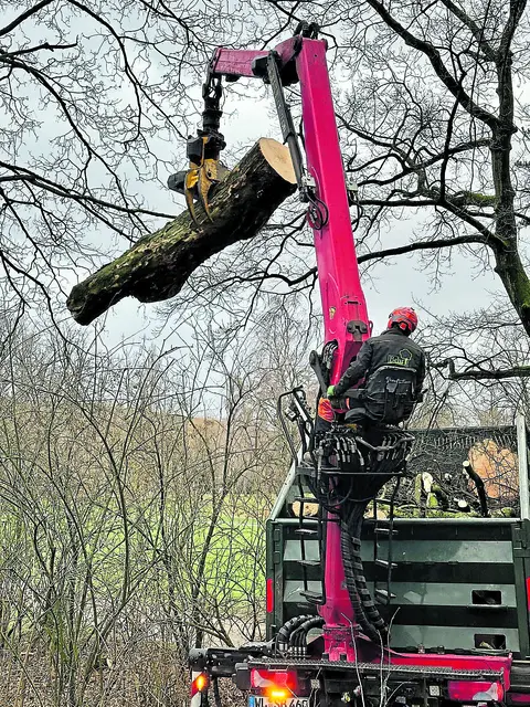 Mit dem umfangreichen Fuhrpark können sämtliche Arbeiten durchgeführt werden | Foto: Baumdienst Behr