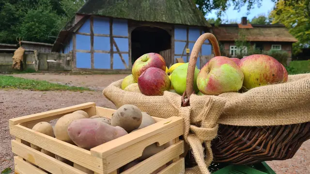 Regionale Vielfalt entdecken beim Apfel- und Kartoffeltag am 18.10. im Freilichtmuseum am Kiekeberg. | Foto: FLMK