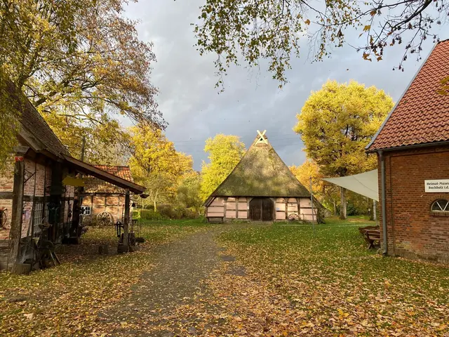 Herbst im Museumsdorf Seppensen | Foto: Geschichts- und Museumsverein Buchholz und Umgebung e.V.