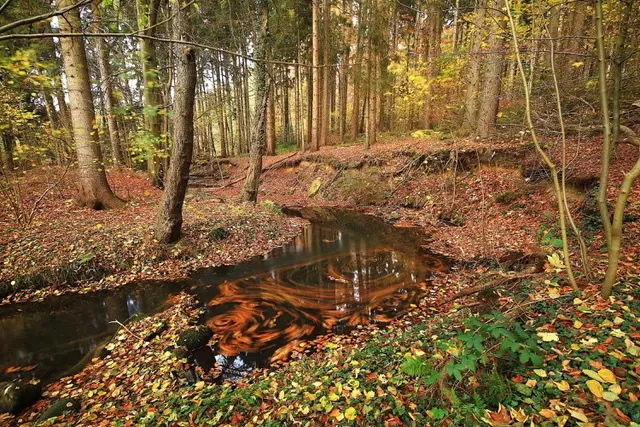 Langzeitbelichtung eines Bachlaufs von Helmut Müller im Steinbeck-Wald | Foto: Helmut Müller