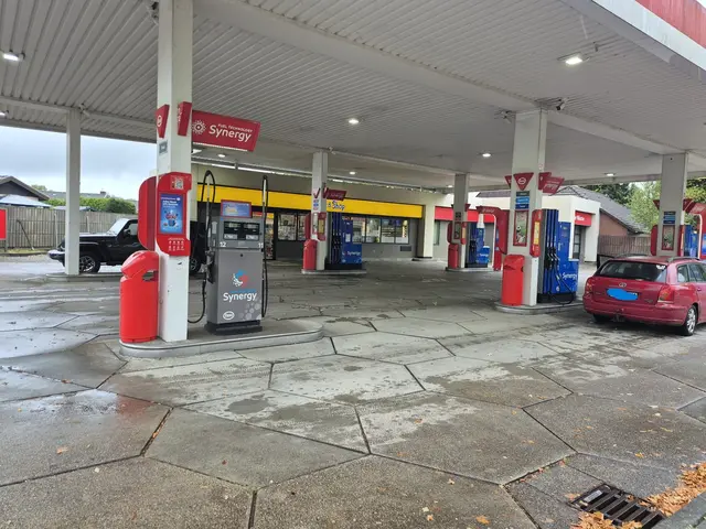 Die Tostedter Esso-Tankstelle wurde am Mittwochabend, 7. Oktober, überfallen | Foto: Linus Lurz