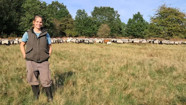 Schäferin Johanna Hehmsoth zusammen mit ihrer Schafherde in der Barger Heide | Foto: Hansestadt Stade