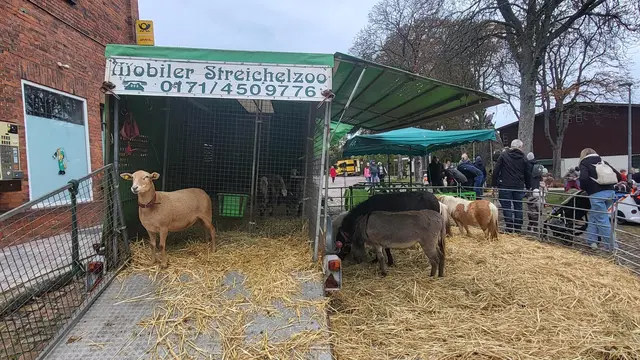 Sehr beliebt - bei kleinen und großen Besucherinnen und Besuchern: der Streichelzoo am Bahnhof