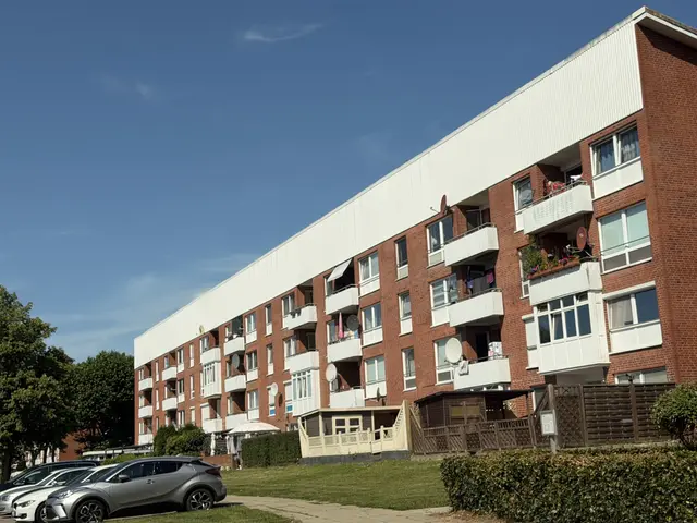 Vor einem der Wohnhäuser am Mühlenweg ist der Streit eskaliert | Foto:  Klaas Jäger