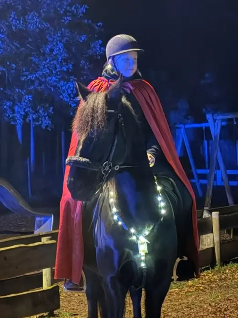 Das Martinspferd ist mit einer festlichen Lichterkette geschmückt | Foto: evlka