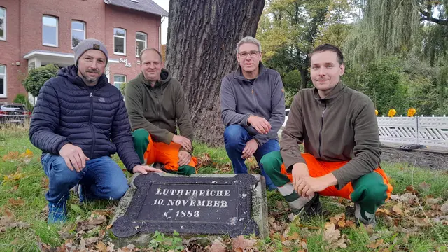 Mitarbeiter der Kommunalen Betriebe Stade und der Abteilung Umwelt- und Freiraumplanung haben sich um die Eiche gekümmert (v. li.): Steffen Martin, Alexander Bösch, Jens Driessen und André Tiedemann

  | Foto: Hansestadt Stade