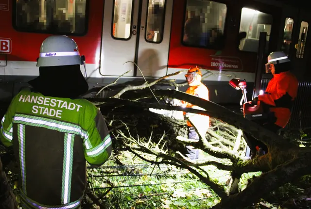 Die Feuerwehrleute beseitigten den umgestürzten Baum, während die Fahrgäste in der S-Bahn ausharren mussten | Foto: Feuerwehr Stade