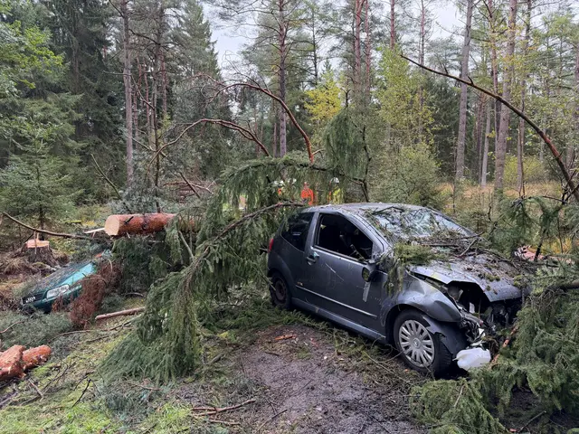 Im Rüstjer Forst werden im Rahmen der Übung auch aufwendige technische Hilfeleistungen – wie die Rettung von Verletzten aus unter Bäumen begrabenen Fahrzeugen – geprobt

  | Foto: Landkreis Stade / Daniel Beneke