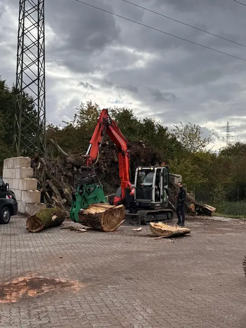 Bagger und Holzzange: Holzstamm spalten | Foto: Behr Baumdienst