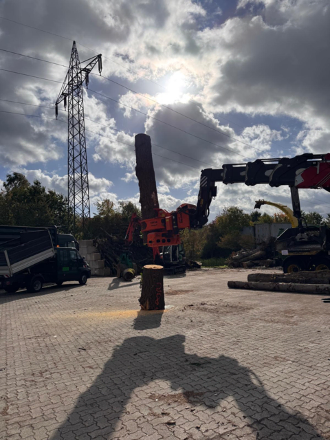 Magni Fällkran
 | Foto: Behr Baumdienst