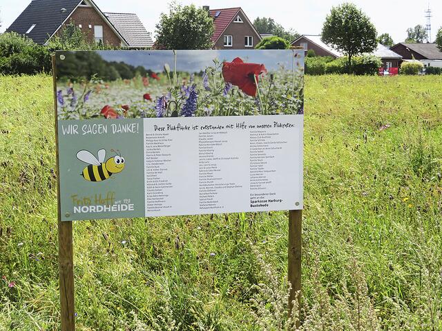 Auf dieser Blühfläche am Kornblumenstraße in Buchholz-Steinbeck summt, brummt und flattert es ... So muss eine Blühwiese angelegt sein, damit Insekten diesenutzen | Foto: Axel-Holger Haase