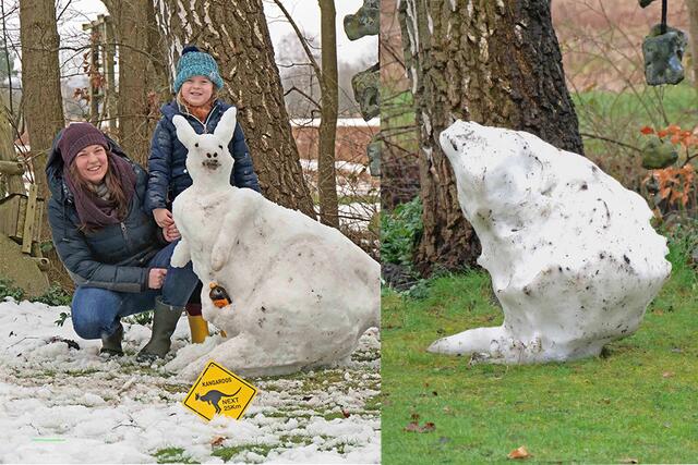 Eine kurze Schneephase hat ausgereicht, um eine seltene Spezies in unseren Garten zu locken: Das Schnänguru. Von ihrer Tätigkeit als Lehrerin in Australien hat Maibrit Gründel schon vor einigen Jahren das dortige Wappentier als Souvenir mitgebracht. Inzwischen ausgewildert, besucht es uns nur noch selten als Schnänguru. Es ist zutraulich und hat sich schnell mit Lene angefreundet. Im Beutel trägt es gerne ein Fläschchen australisches Ingwerbier.
Glücklicherweise verfügt die Gemeinde über die entsprechende Beschilderung, sodass vorbeibrausende Trecker gewarnt sind.
Das possierliche Tierchen macht sich seit letzter Nacht in der ihm eigenen Weise auf und davon, und zwar durch abschmelzen. Es hielt sich kurz in unserem Garten in Radbruch auf. Aufgrund der eher ungewöhnlichen Art der Fortbewegung durch schmelzen, kann niemand sicher sagen wann und wo es wieder auftauchen wird. | Foto: Achim Gründel
