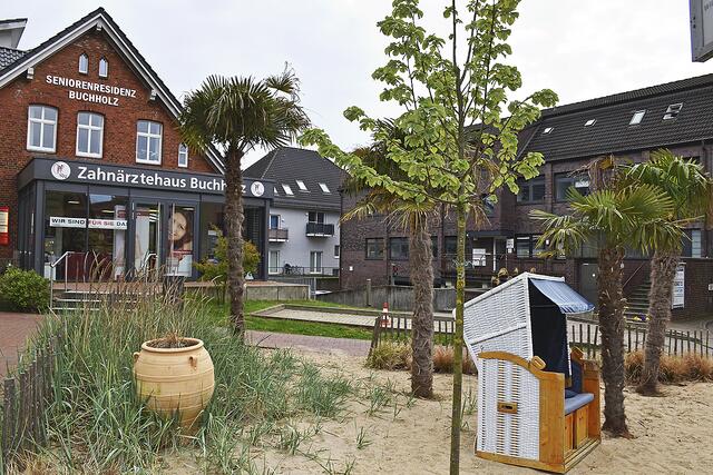 Die Palmen stehen wieder ohne ihren Winterschutz im Garten, der Sitzkorb lockt bei entsprechenden Temperaturen zu einer Pause | Foto: Axel-Holger Haase