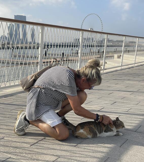 🍀🐈‍⬛Knuddeldicke Umärmelung🐈‍⬛🍀