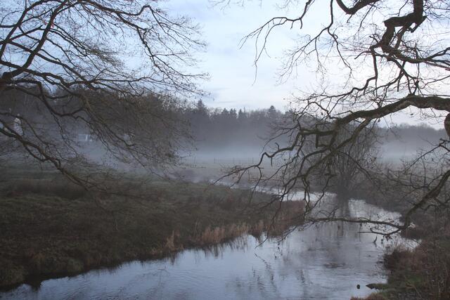Knorrige Äste recken sich über ein eiskaltes Gewässer. Romantisch und ein bisschen mystisch - so sah die Seeve im aufsteigenden Nebel kurz vor Einbruch der Dunkelheit bei Lüllau aus | Foto: pöp
