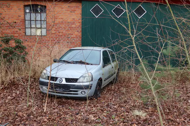 Dieser abgemeldete Renault Clio ist mit Grünspan versehen und von Baumsprösslingen umringt | Foto: Axel-Holger Haase