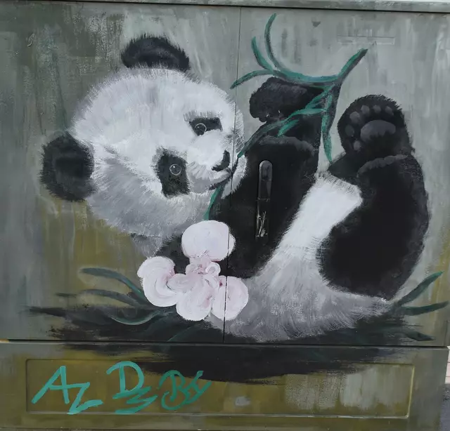 Dieser kleine Panda ist auf einem Stromkasten in Ohlendorf zu sehen ...  | Foto: Axel-Holger Haase