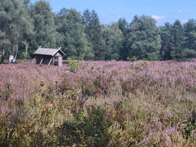 Bei perfektem Ausflugswetter lohnte sich die Fahrradtour ins Büsenbachtal | Foto: Sh
