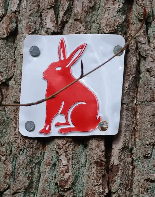 ... kann auch ein Kaninchenwanderweg sein ... | Foto: Axel-Holger Haase