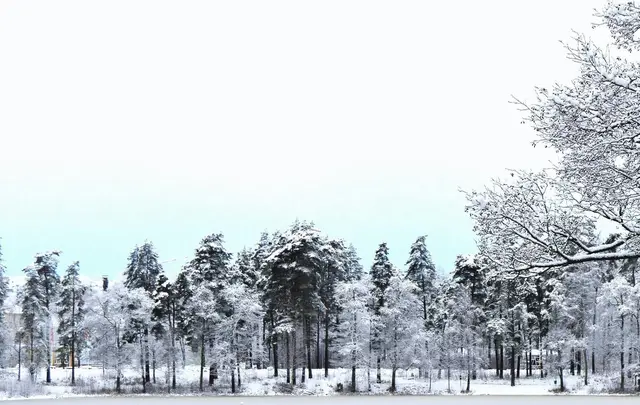 Der erste Schnee im neuen Jahr 