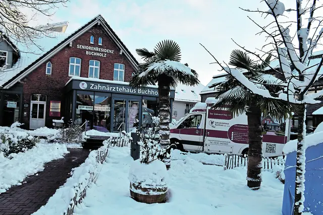 Die Palmen vor dem Zahnärztehaus Buchholz sind mit Schnee bedeckt | Foto: Axel-Holger Haase