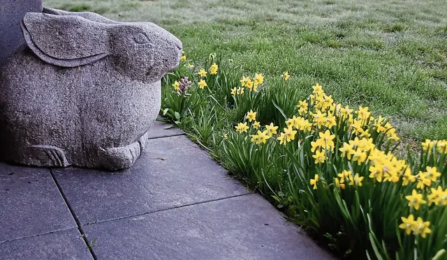 Der Hase passt auf die Blumen vor ihm auf | Foto: Axel-Holger Haase
