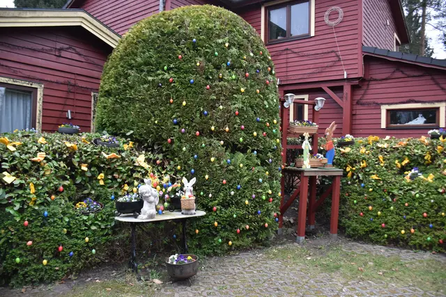 Das Weihnachtshaus hat sich zu einem Osterhaus verwandelt. Es steht im Grenzweg 38 in Buchholz. Eigentümer Uwe Geistler hat sein Haus mit vielen Ostereiern, Figuren und Blumen geschmückt. Passanten bleiben stehen, um sich die sehenswerten Details anzuschauen. Ein Osterfeuer gibt es allerdings nicht ... | Foto: Axel-Holger Haase