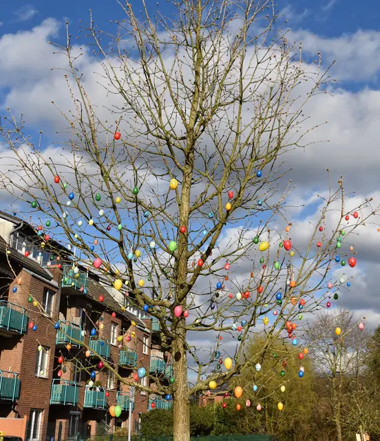 Der wohl größte "Eierbaum" (in Erinnerung an Maren Kolter, gest. 2025) steht in der Hamburger Straße im Wendehammer. Wer möchte, kann ihn "obenherum" noch etwas auffüllen  | Foto: Axel-Holger Haase