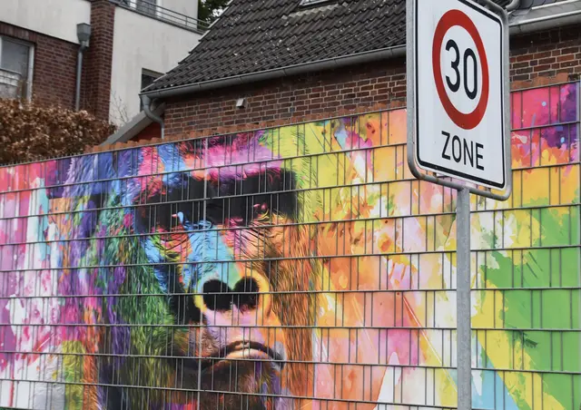 Buchholz - dieser Sichtschutz zwingt den Passanten zum Hinschauen | Foto: Axel-Holger Haase