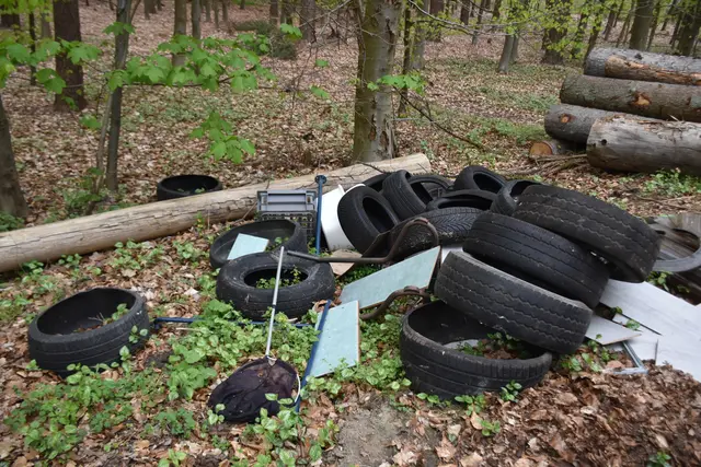 Dieser Müllberg liegt am Parkplatz an der Bendestorfer Straße im Klecker Wald. Da ist nur zu hoffen, dass der Müllentsorger geschnappt wird. Vielleicht liegt ja noch ein Adressaufkleber irgendwo ... | Foto: Axel-Holger Haase