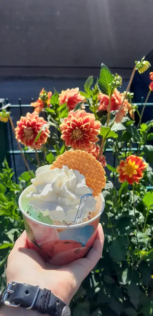 Sonne, Blumen und eine große Portion Eis: An warmen Sommertagen gibt es kaum eine bessere Abkühlung. Ob mit Sahne oder Waffel – jetzt ist die perfekte Zeit für eine süße Auszeit! | Foto: tw