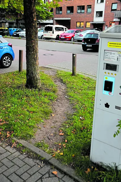 Oft wird der kürzeste Weg gewählt  | Foto: Axel-Holger Haase